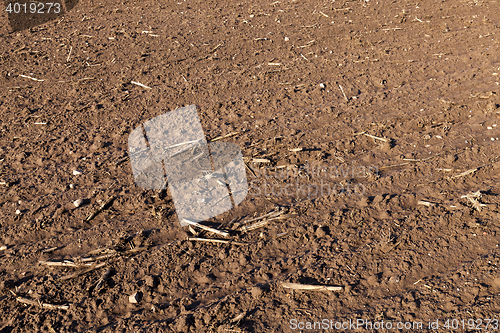 Image of plowed for sowing the land