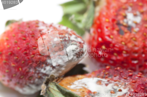 Image of Strawberry with mold