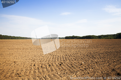 Image of plowed for crop land