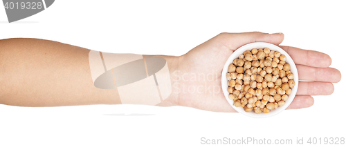 Image of chick pea isolated