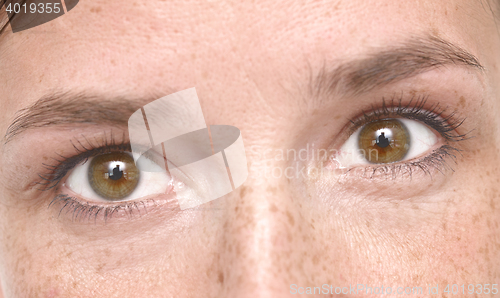Image of beautiful woman eyes