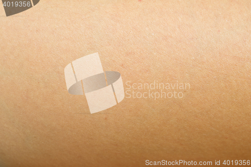 Image of human skin texture