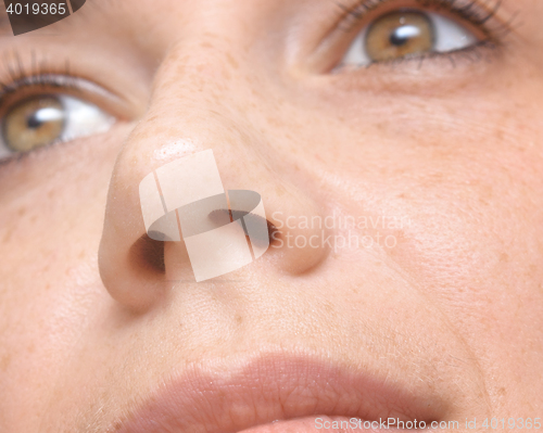 Image of woman nose, macro