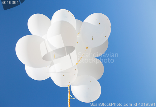 Image of close up of white helium balloons in blue sky