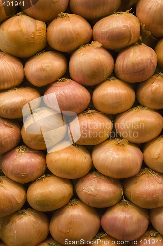 Image of A Pile of Onions