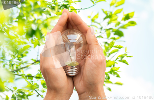 Image of close up of hands holding edison lamp or lightbulb