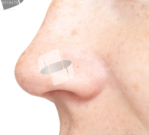 Image of woman nose isolated