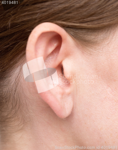 Image of beautiful woman ear