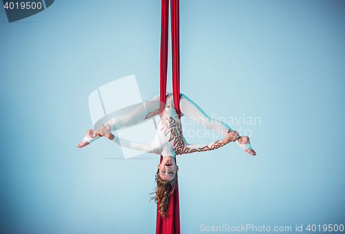 Image of Graceful gymnast performing aerial exercise