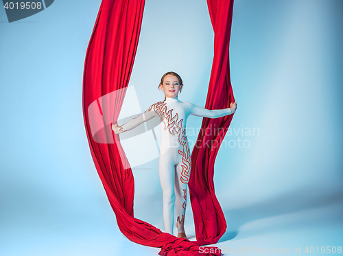 Image of Graceful gymnast performing aerial exercise