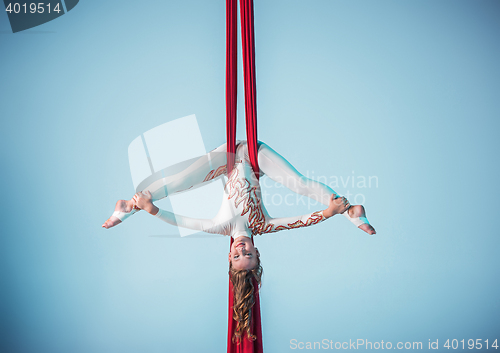 Image of Graceful gymnast performing aerial exercise