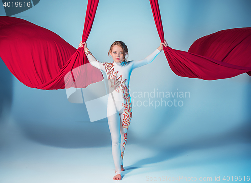 Image of Graceful gymnast performing aerial exercise