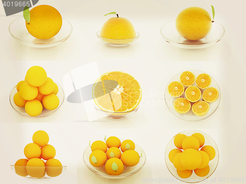 Image of Set of half orange on a glass plate. 3D illustration. Vintage st