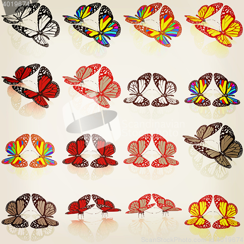 Image of Butterflies botany set. 3D illustration. Vintage style.