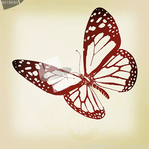 Image of Black and white beautiful butterfly. High quality rendering. 3D 