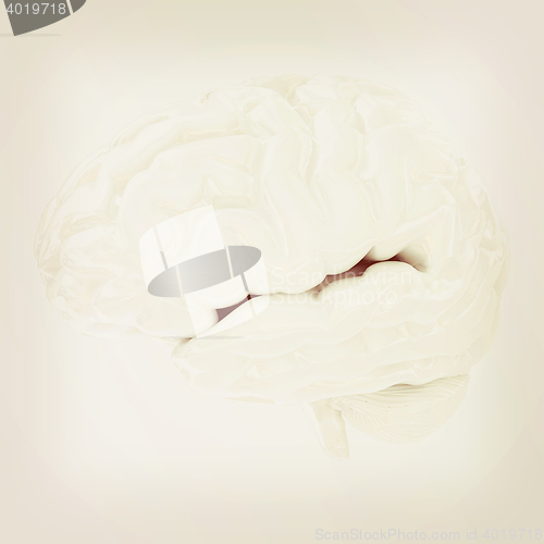 Image of Human brain. 3D illustration. Vintage style.