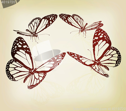 Image of beauty butterflies. 3D illustration. Vintage style.