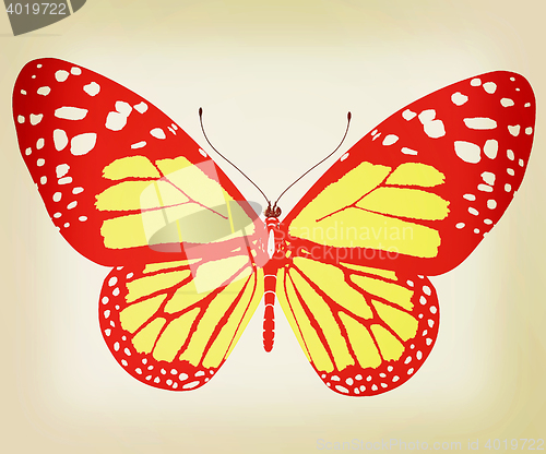 Image of beauty butterfly. 3D illustration. Vintage style.