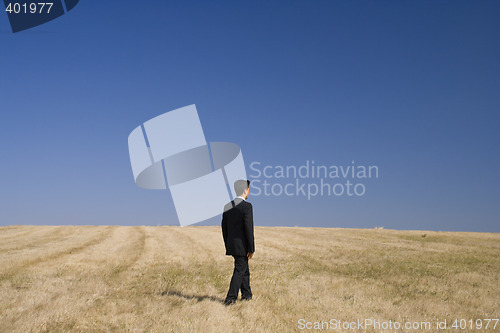 Image of walking in the field