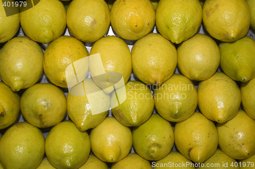 Image of lemons pattern