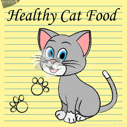 Image of Healthy Cat Food Means Pets Feline And Foods