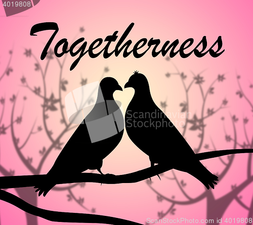 Image of Togetherness Doves Represents Love Birds And Affection