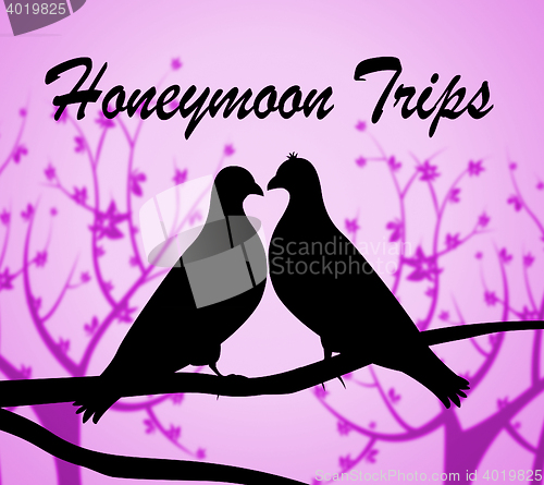 Image of Honeymoon Trips Represents Travel Guide And Break