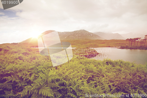 Image of view to island in lake or river at ireland