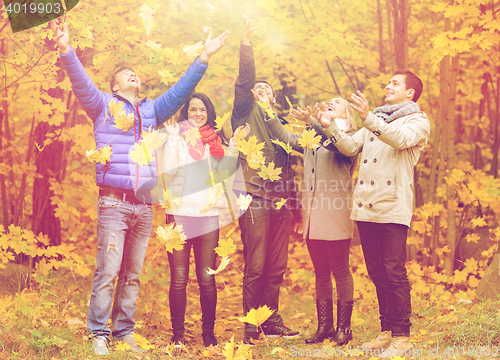 Image of group of smiling men and women in autumn park