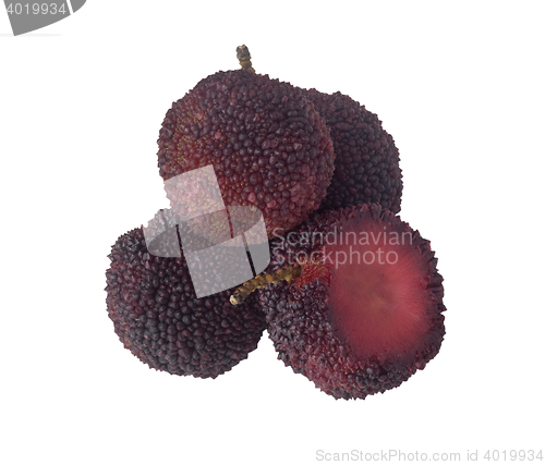 Image of Chinese Bayberry