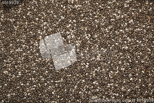 Image of Chia seeds