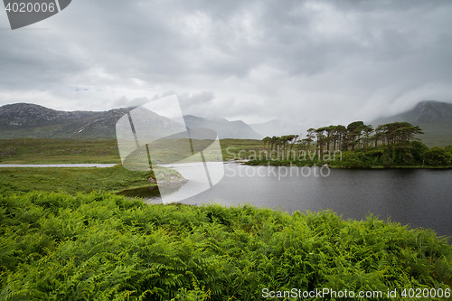 Image of view to island in lake or river at ireland