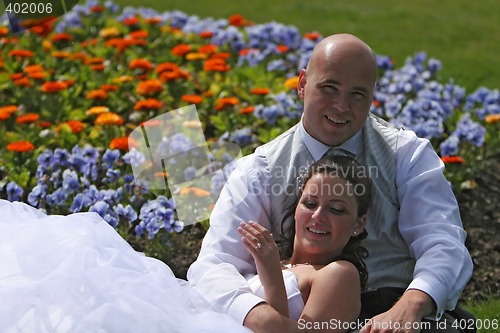 Image of bed of flowers