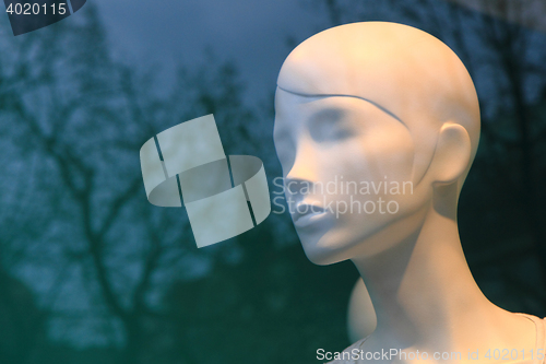 Image of plastic figurine head