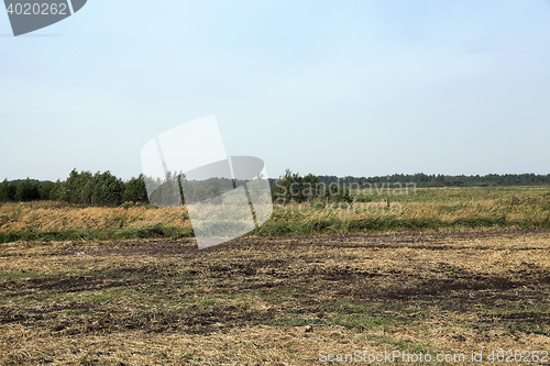 Image of moorland, summer time