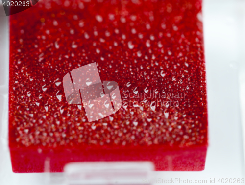 Image of red women\'s cosmetics