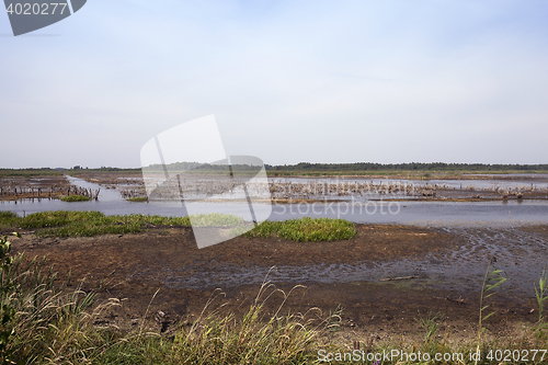 Image of moorland, summer time