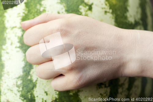 Image of hand on watermelon