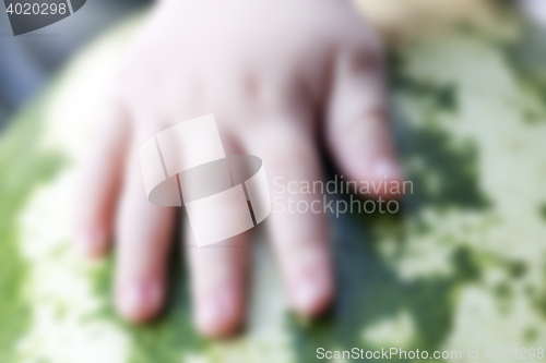 Image of hand on watermelon