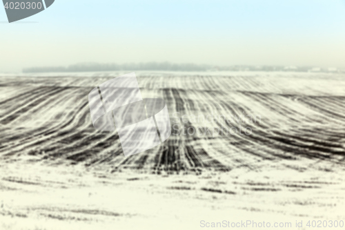 Image of agriculture field in winter