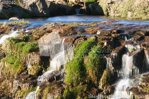 Image of moss and water