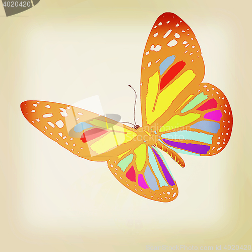 Image of colorful butterfly. 3D illustration. Vintage style.