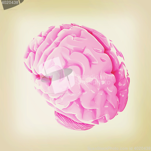 Image of Human brain. 3D illustration. Vintage style.