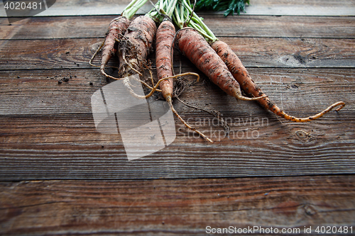 Image of New harvest fresh organic carrots