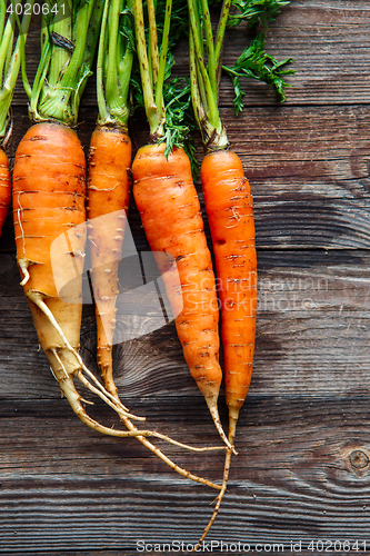 Image of Raw carrot with green leaves on wooden background