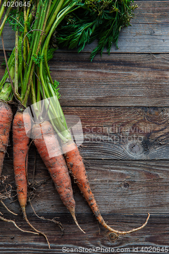 Image of raw carrots on the ground