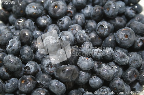 Image of blue berries