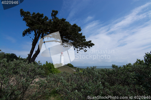 Image of Lighthouse Dornbusch at Hiddensee