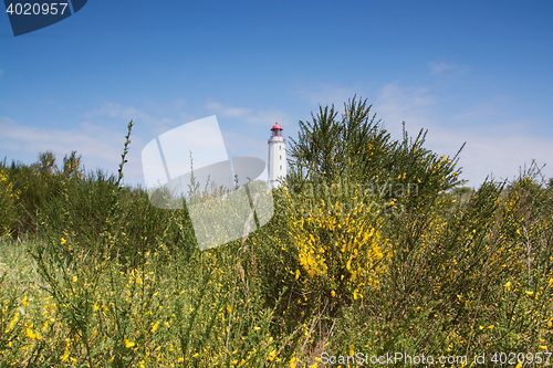 Image of Lighthouse Dornbusch at Hiddensee