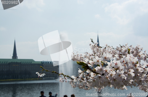 Image of Spring at the Alster